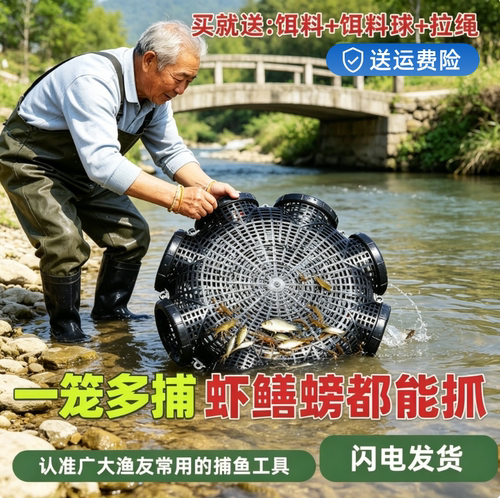黄鳝专用鳝鱼鱼笼笼子倒须加厚新款塑料泥鳅捕鳝神器捕鱼虾笼鱼虾
