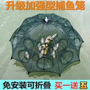 折叠捕虾网捕鱼笼只进不出黄鳝龙虾网笼虾笼花篮鱼网渔网抓扑渔器