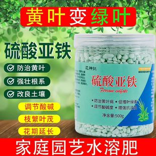 硫酸亚铁肥料花卉专用调节土壤酸度防黄叶花卉蔬菜喜酸植物通用肥