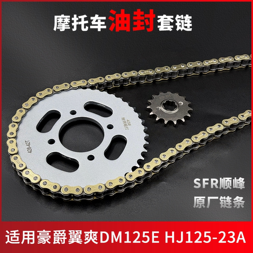 适用豪爵翼爽DM125E HJ125-23A盘链条轮大小齿机车油封三件套链 - 封面
