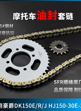 适用豪爵DK150E/R/J HJ150-30E-30F牙盘链条大小齿摩托油封三件套