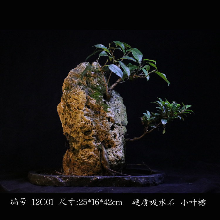 只要时间硬质花岗岩榕树吸水石