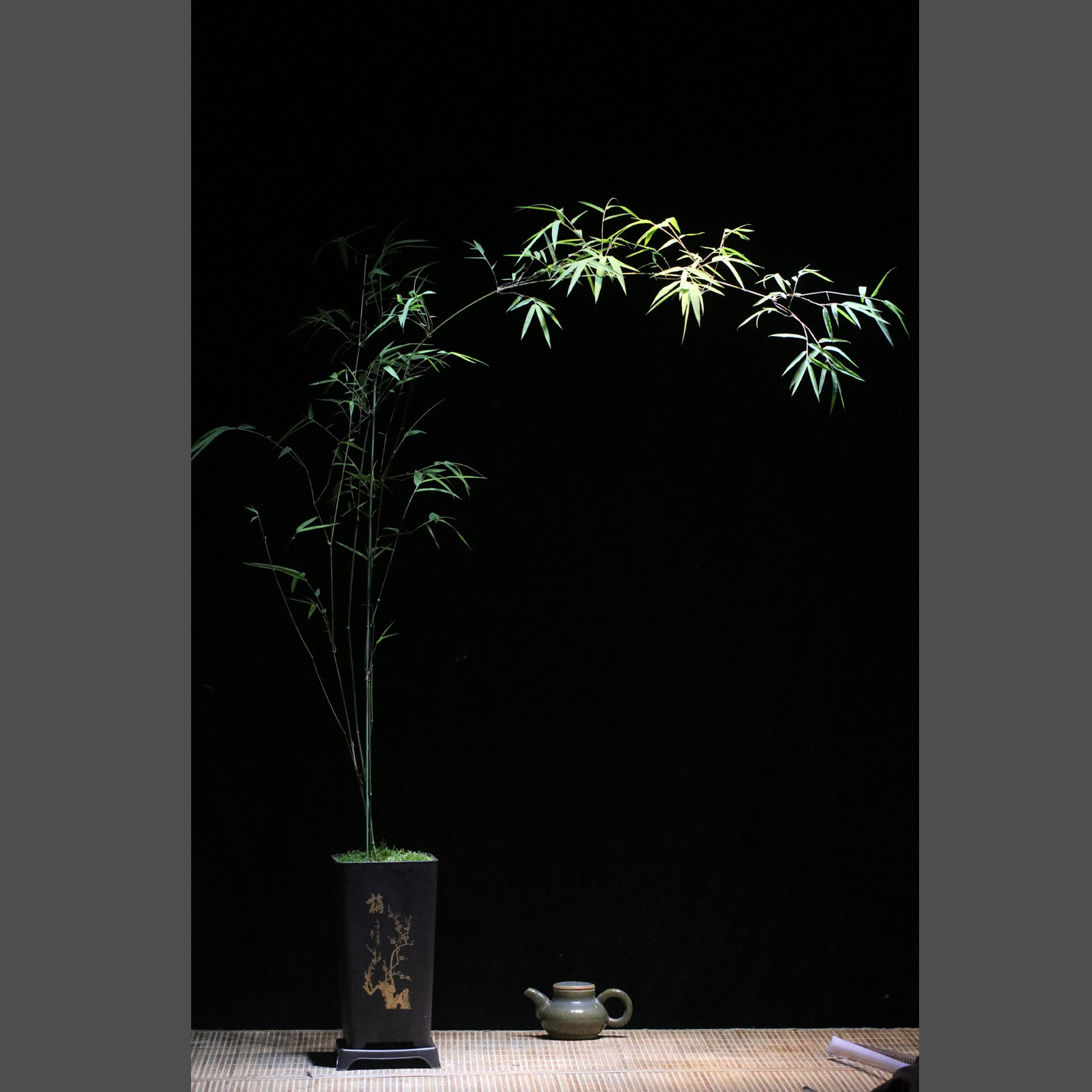 会爬藤的竹子办公桌盆景庭院竹棚