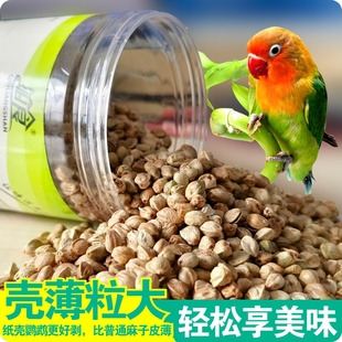 麻子鹦鹉粮训练奖励纸壳麻子饲料奖励零食油纸皮麻子鸟粮鸟食