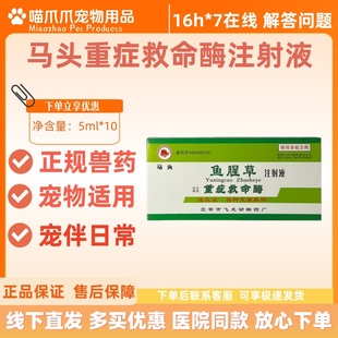 马头牌鱼腥草重症救命酶注射液5ml*10支宠物医院各种危重疾病猫狗