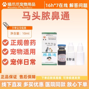 马头牌金芩芍脓鼻通10ml滴鼻液宠物适用医院同款金银花宠物用兽药