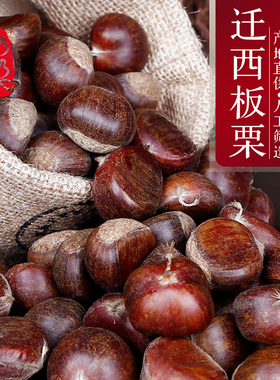2025年新货正宗河北唐山迁西板栗野生油栗生栗子新鲜栗子大粟子