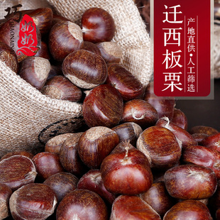 2025年新货正宗河北唐山迁西板栗野生油栗生栗子新鲜栗子大粟子
