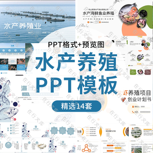 水产养殖PPT模板海鲜小龙虾鱼虾蟹公司工厂项目计划介绍ppt幻灯片