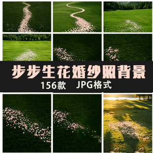 唯美浪漫步步生花草坪婚纱照背景素材婚纱照后期溶图JPG高清图片