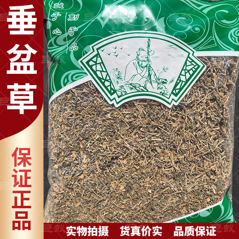 垂盆草中药材500g克新货正品食用垂盆草锤盆草干垂盆草干货包邮