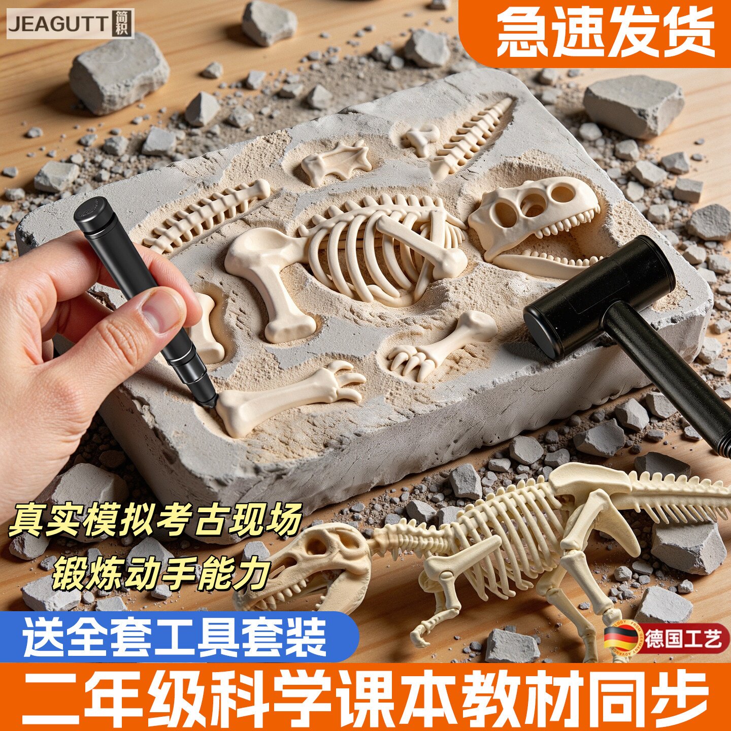 德国恐龙化石挖掘拼装石膏模型