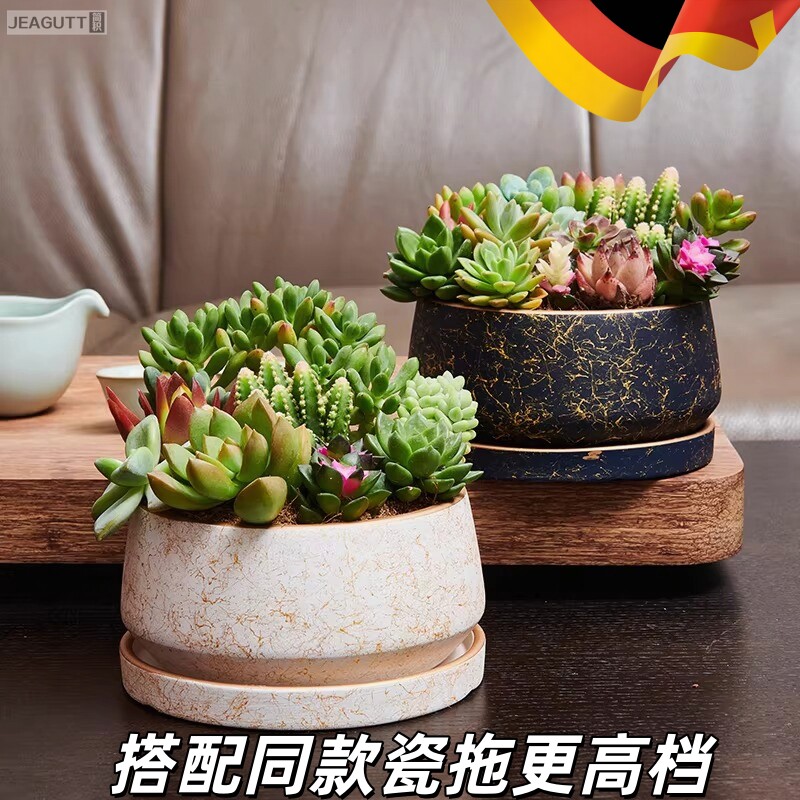 高档陶瓷大口径带托盘多肉花盆