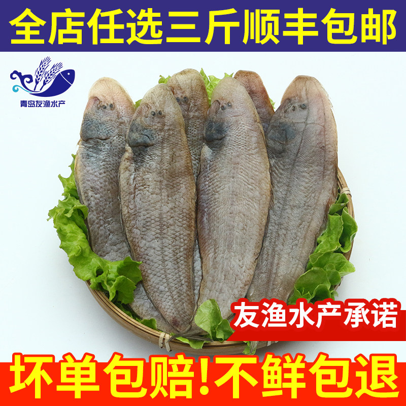 舌头鱼新鲜冷冻野生龙利鱼海鲜舌鳎鱼鳎米鱼鳎目鱼踏板鱼柳 500g