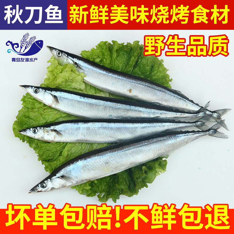 秋刀鱼冷冻新鲜烧烤食材日式韩式香煎海鲜水产鱼海鱼鲜活三斤包邮