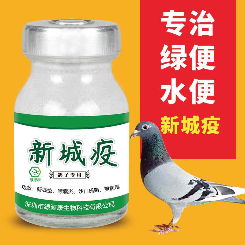 鸽子赛信鸽幼鸽水绿便调理药鸽药