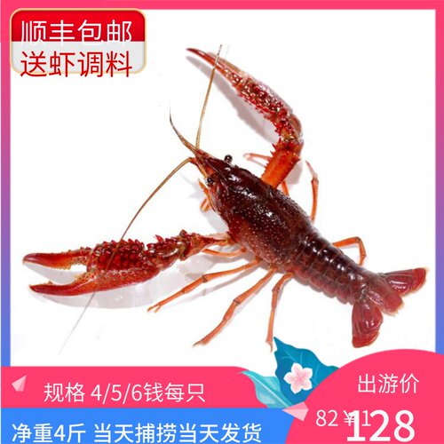 小龙虾鲜活水产4斤456钱顺丰包邮