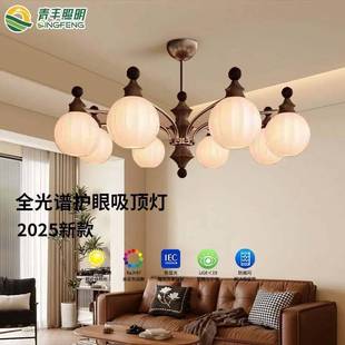 柿子灯饰高级感灯具 新中式 法式 中古风客厅吊灯主灯复古2025新款