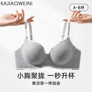 2026新款内衣女聚拢小胸显大无痕无钢圈软支撑防下垂收副乳文胸罩