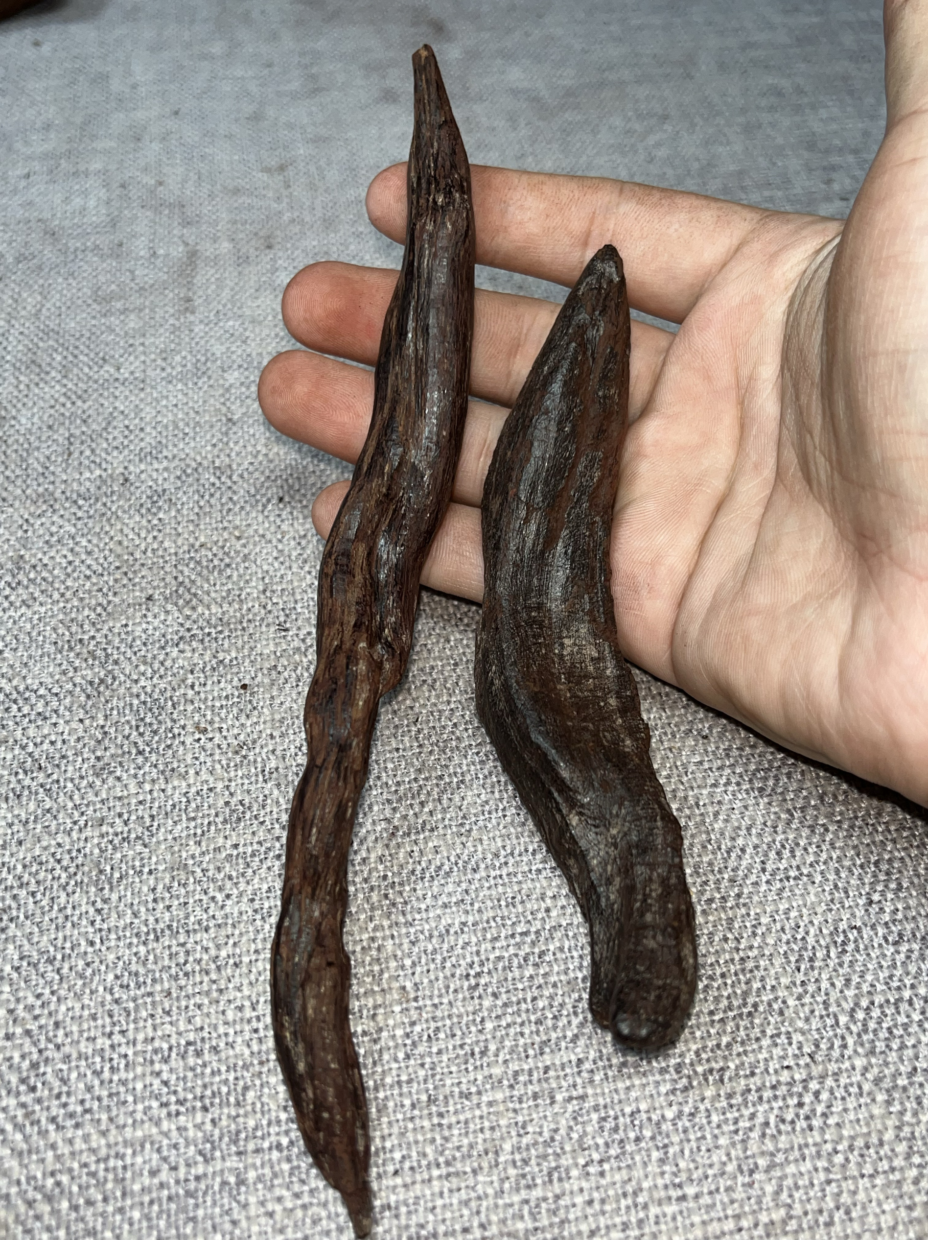 正宗海南红降香伽南香花梨公·土埋实心树芯油 花梨公实心糖结料