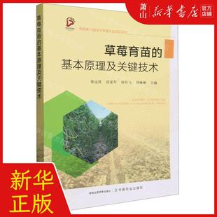 基本原理及关键技术 畅销书 编者 常琳琳 中国农业 张运涛 雷家军 新华正版 图书籍 钟传飞 草莓育苗