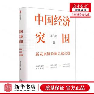 中信集团 中国经济 王东京程璞玉李亚婷 新华正版 图书籍 关键议题精 中信 财经管理 中国经济突围新发展阶段