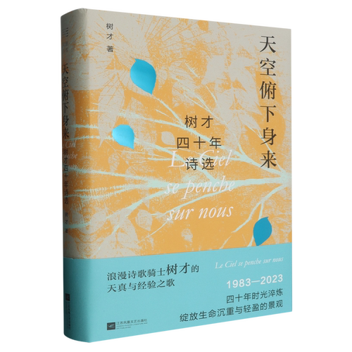天空俯下身来:树才四十年诗选