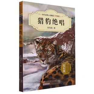 新华正版 猎豹绝唱升级版中外动物小说精品 作者:沈石溪 安徽少年