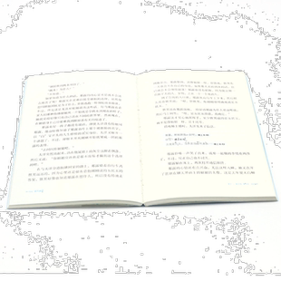 新华正版 第五泳道 作者:(韩)银昭曶 湖南文艺出版社 中南博集天