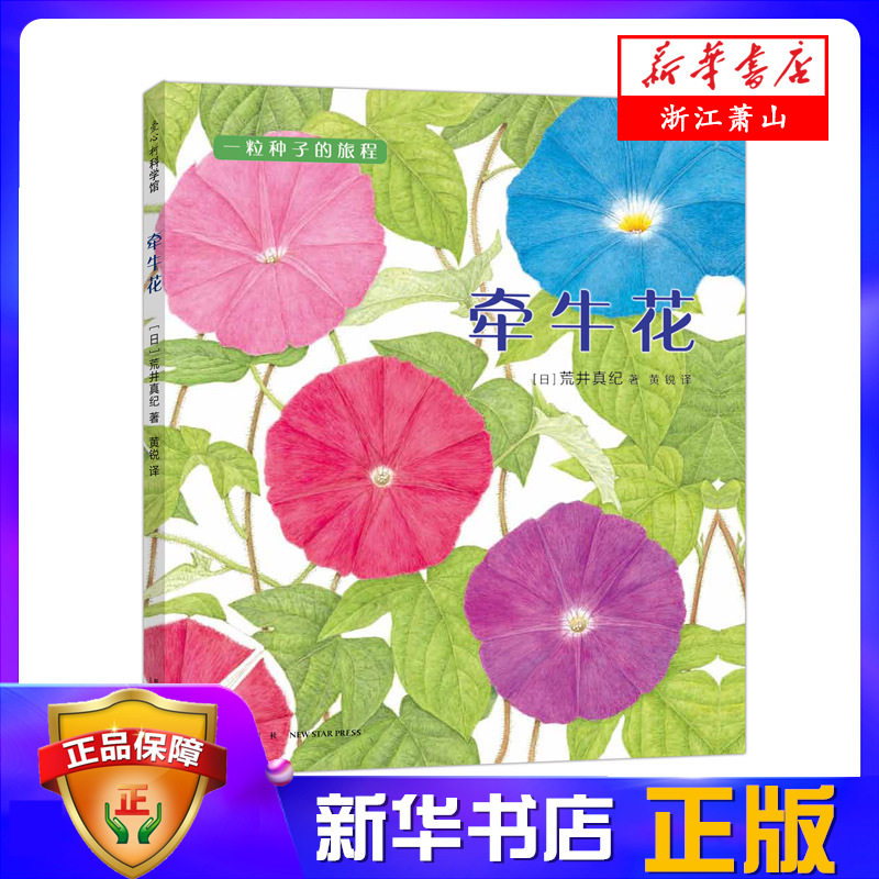 牵牛花(精)/一粒种子的旅程 儿童绘本故事书幼儿园3-6-8周岁科普百科