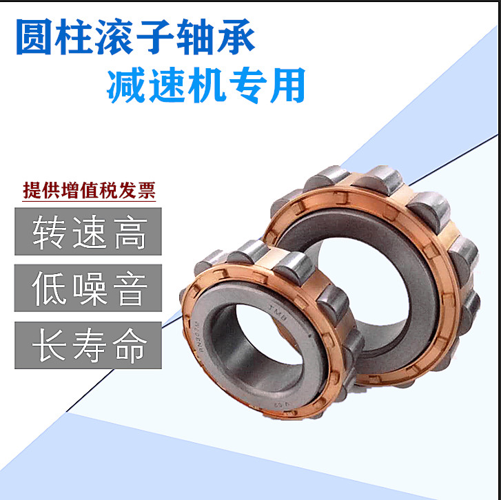 NSK RN205 206 208 209 219 220 222 228 328M圆柱滚子减速机轴承