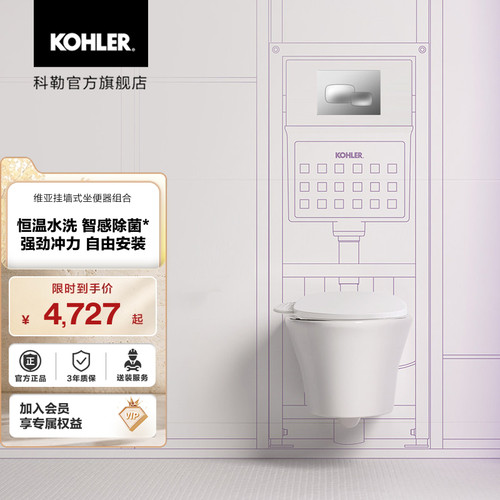 科勒维亚壁挂马桶挂墙隐藏式水箱妇洗智能马桶盖