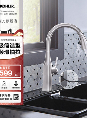 科勒卢比克下抽拉式厨房龙头水槽洗菜盆水龙头-20147T-4-CP
