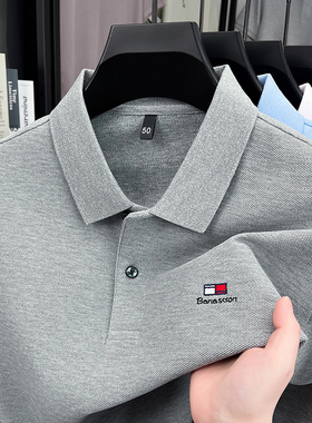 男士长袖T恤保罗polo衫纯棉春秋季上衣中年爸爸装珠地棉poll