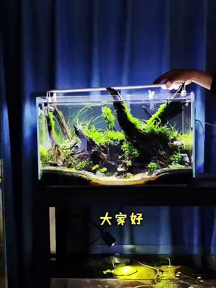 宣歌鱼缸架灯鱼缸三色灯