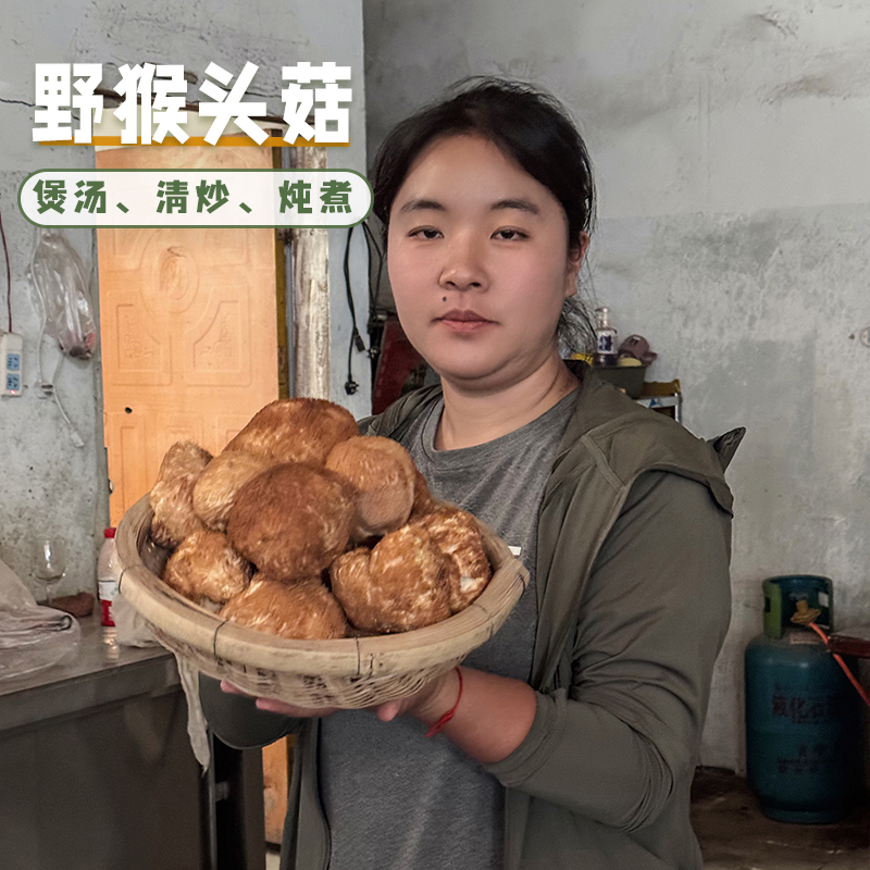 真正的野生猴头菇！建议清洗后晾干打粉！或者煲汤非常难得非种植