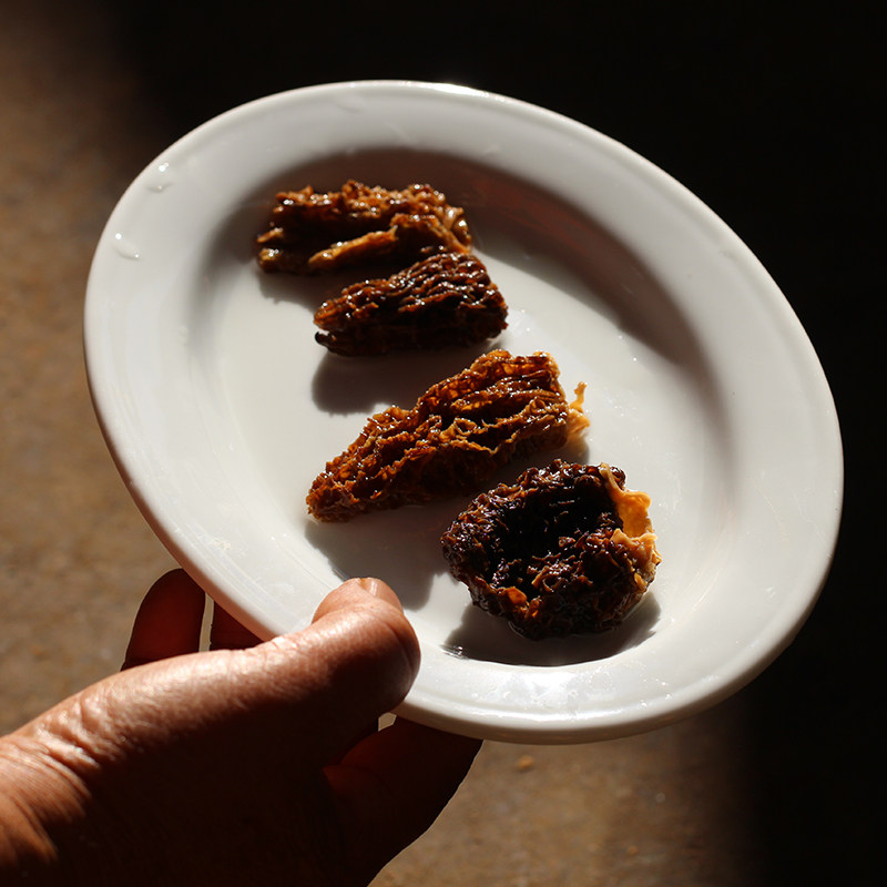 非常稀有 小敏家野生晒干剪脚羊肚菌  珍贵 50g|ruв категории зерно риса/север и Юг сухих грузов/приправы, север и Юг сухих грузов/мясо сухих грузов, сухогрузный/родной, грибов - от Buy2taobao.com для оказания профессиональной услуги покупки агента Taobao