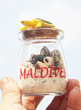 热卖马尔代夫创意纪念品热带鱼海龟魔鬼鱼蝠鲼沙瓶漂流瓶贝壳瓶