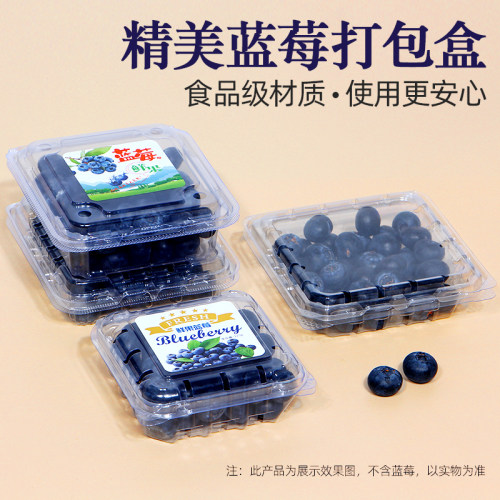 125g加厚透气透明蓝莓保鲜盒