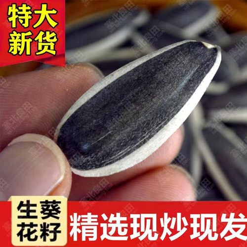 2025年新鲜生瓜子葵花籽新货原味瓜子炒熟大颗粒363向日葵散装5斤