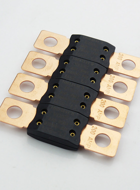 瑞利特叉栓式保险丝汽车大电流熔断式保险丝保险盒 大号插片保险