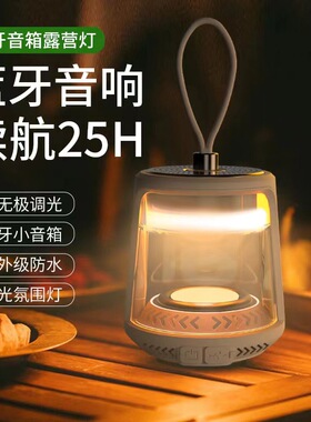 户外露营灯超长高续航照明马灯野营灯露营氛围灯复古LED帐篷灯LDD