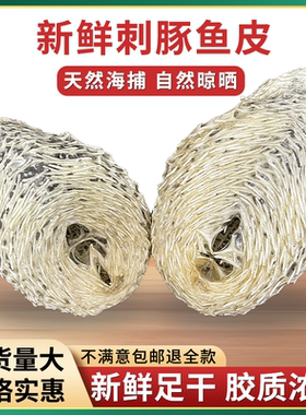 刺龟鱼皮无刺干货海产海南西沙群岛刺豚皮刺鲍鱼去刺海刺猬皮