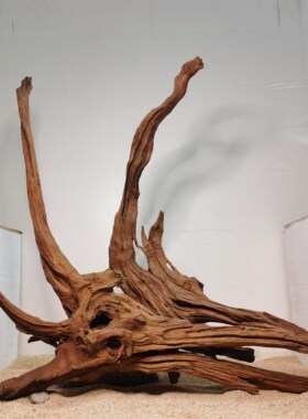 紫柚木天然鱼缸造景免煮树桩