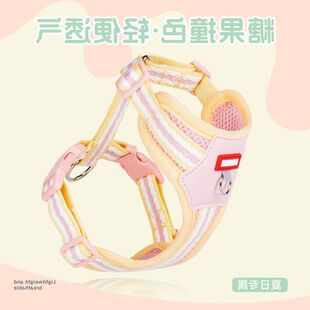 夏季狗狗胸背带工字型宠物胸背透气溜狗绳外出小狗牵引绳轻便撞色