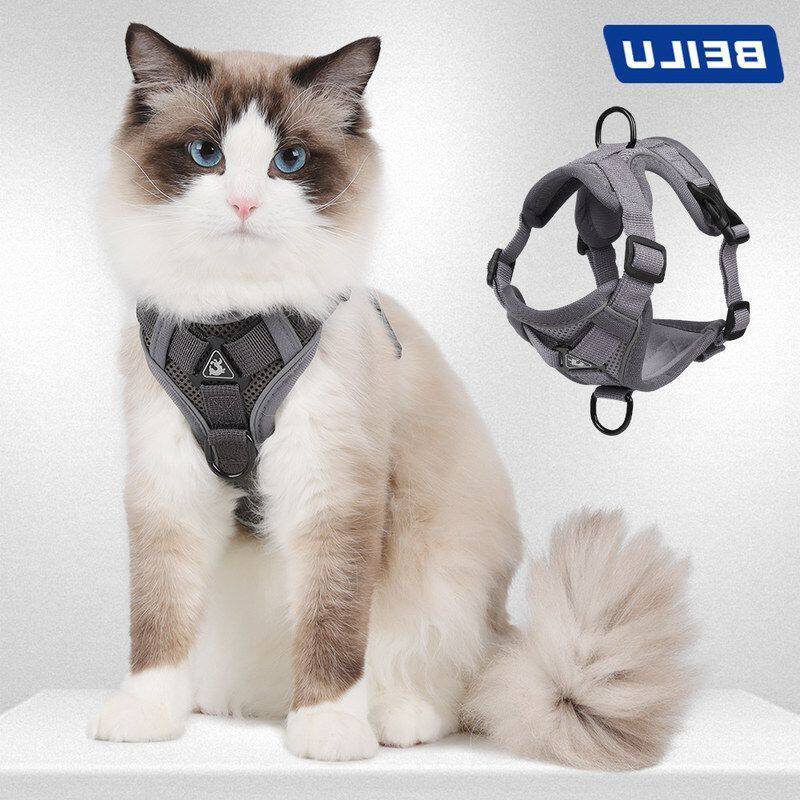新款猫咪牵引绳背心式宠物胸背带