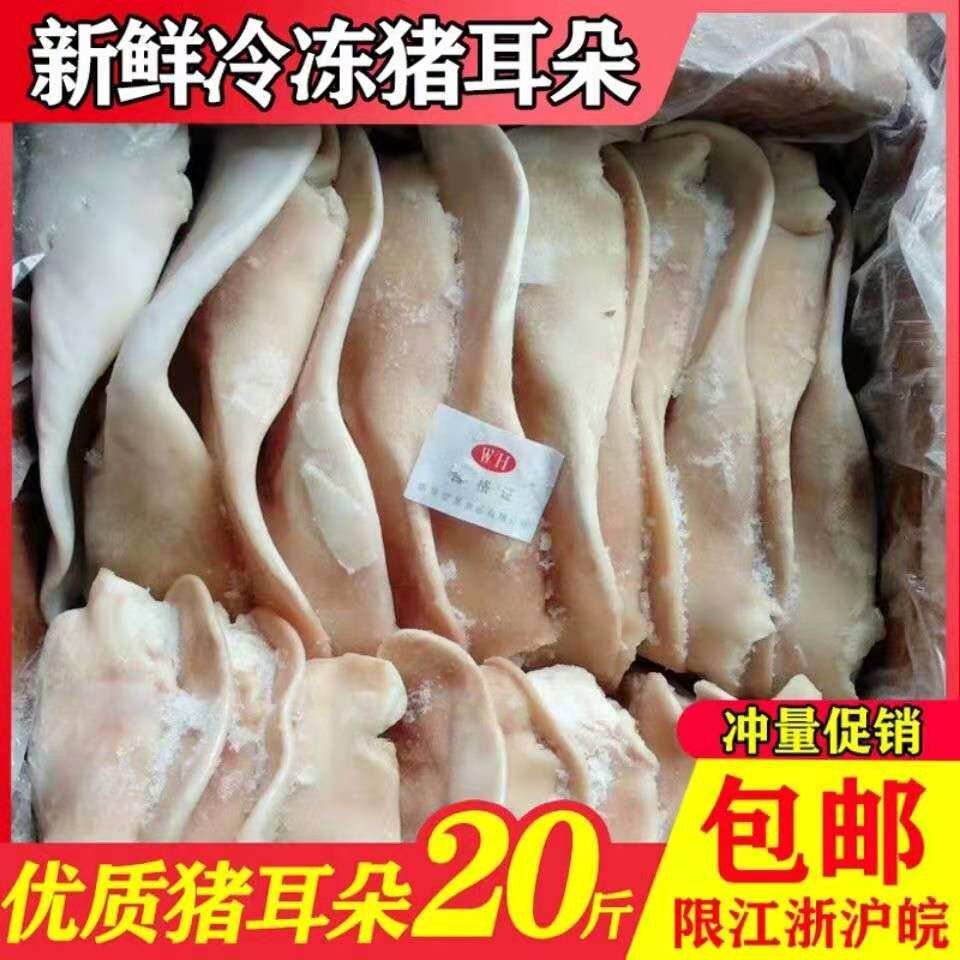 新鲜冷冻猪耳朵 生猪耳 带根小耳朵16片20斤干净无毛卤菜食材