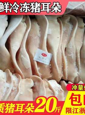 新鲜冷冻猪耳朵 生猪耳 带根小耳朵16片20斤干净无毛卤菜食材