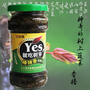 260克净重现货香椿酱巴山红色四川大竹新鲜露天香椿芽鲜椿制作