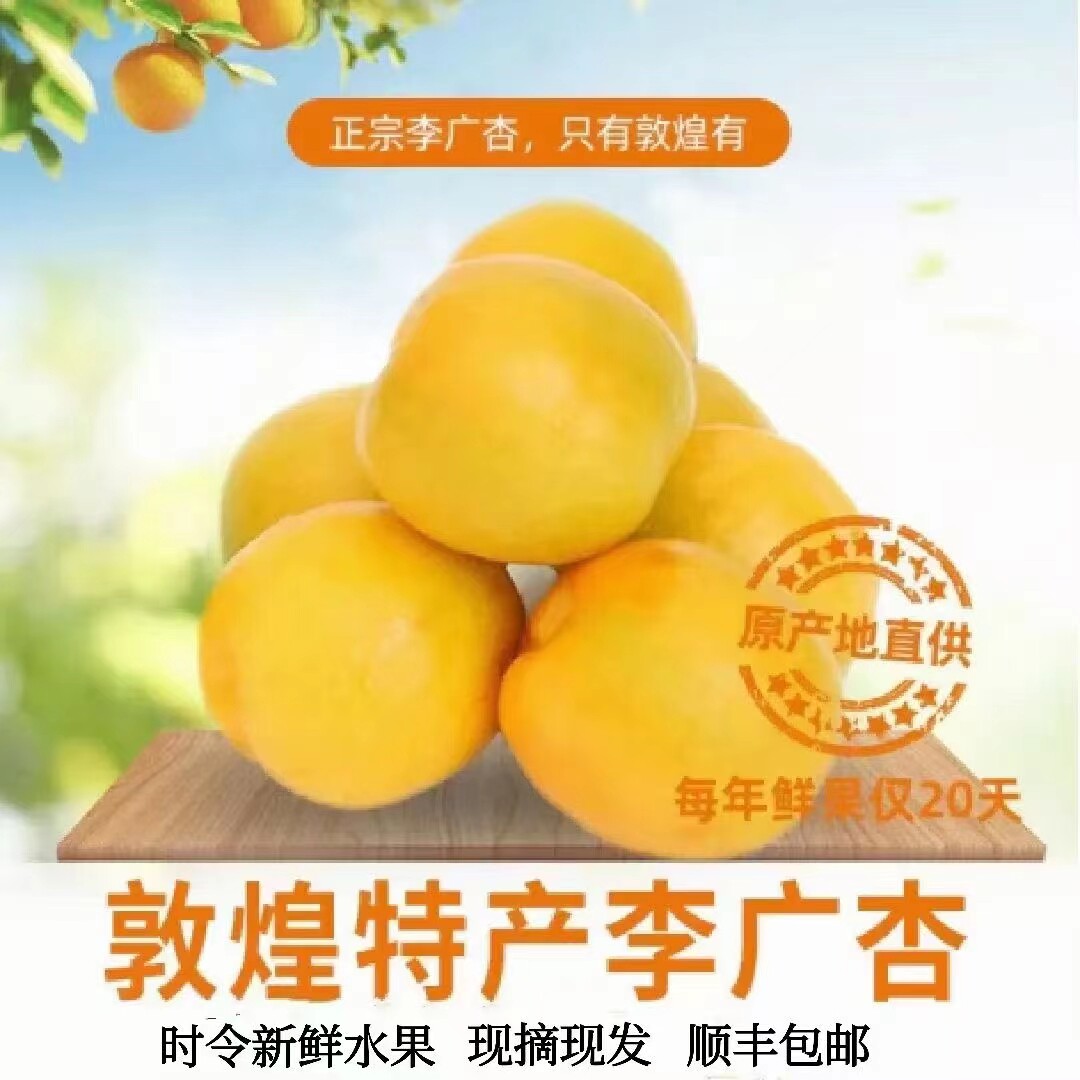 敦煌八怪老字号正宗李广杏鲜果特产水果之王月牙泉镇合水村